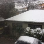 なんと11月なのに、雪が積もってる
